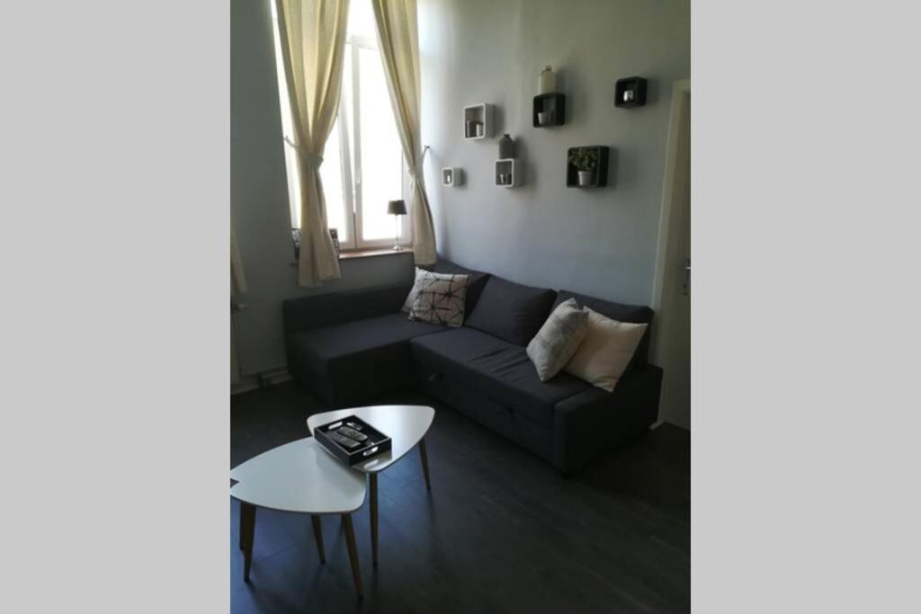 Appartement 20 Min Du Circuit Spa-Francorchamps, Verviers Ngoại thất bức ảnh